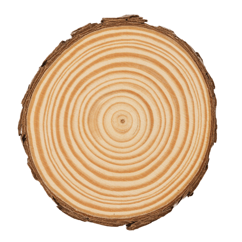 Coaster/treskiver 4-pakk