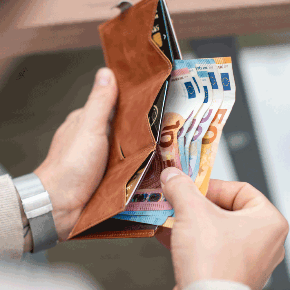 Exentri Sand Wallet